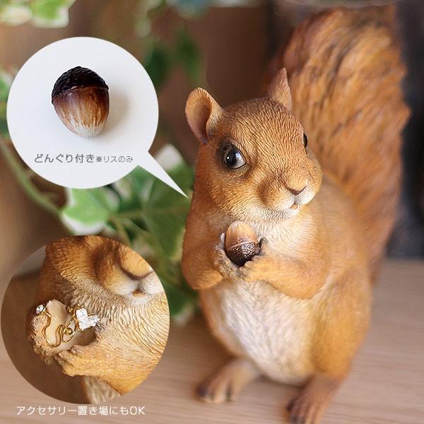 magnet PET BANK・ペットバンク（貯金箱 コインバンク 兎 針鼠 亀 りす