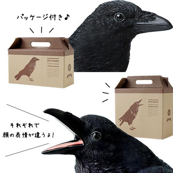 magnet PET BANK CROW ペット バンク カラス（貯金箱 コインバンク