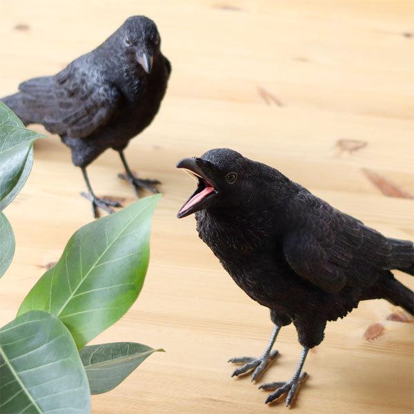 magnet PET BANK CROW ペット バンク カラス（貯金箱 コインバンク