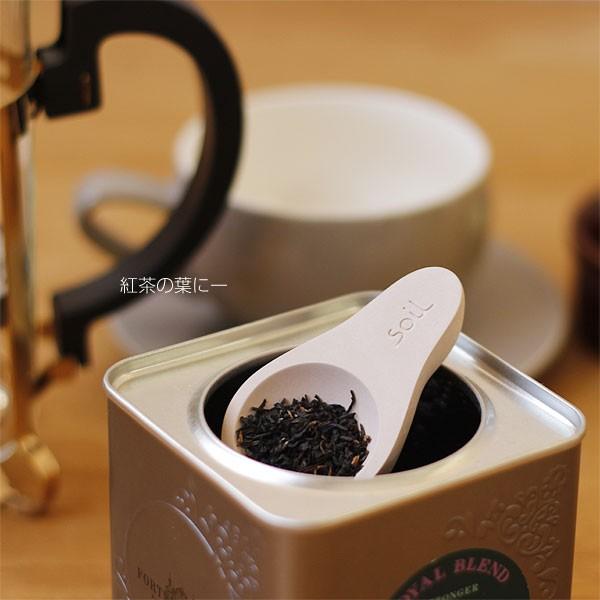 soil 茶さじ（緑茶 紅茶 コーヒー 茶筒 ソイル けいそうど 茶匙 ティーメジャー） | soil(珪藻土) | 07