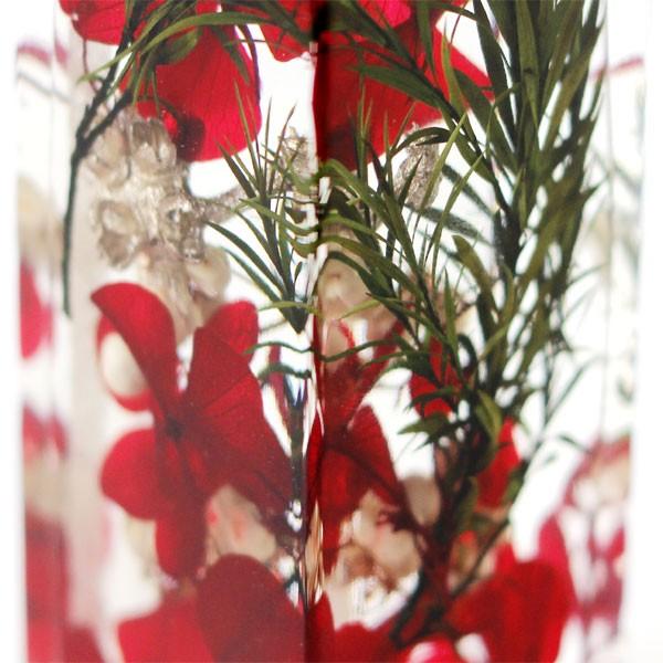 magnet Moemento ハーバリウム クリスマス : エフシーインテリア