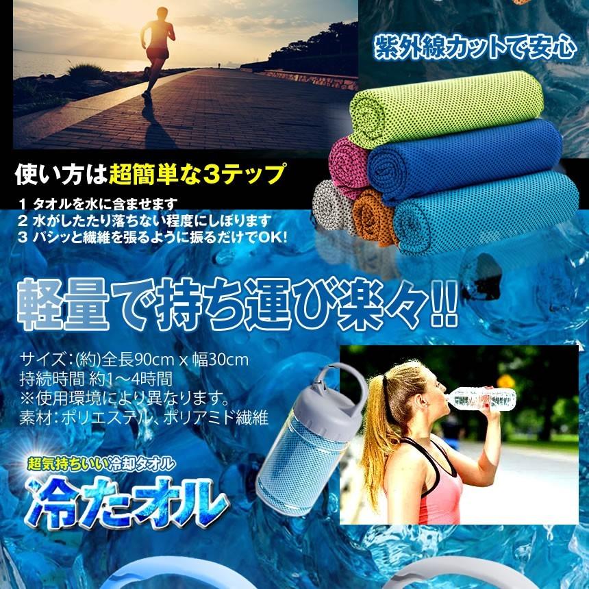 タオル ボトルセット 冷却 冷感 ひんやりタオル クール スポーツ