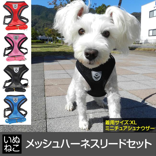 在庫限り 犬 リード ハーネス セット メッシュタイプ ペット用品 犬 お散歩 猫にも いぬねこ 送料無料 Mpet Rh01 輸入雑貨販売のまこと屋 通販 Yahoo ショッピング