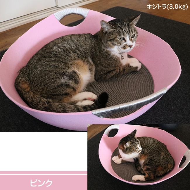 着後レビューで 送料無料 フェルトベッド ペット 猫 ベッド ハウス フェルトハウス 青 ピンク グレー 茶 ブラウン ブルー いぬねこ tresil.com.br 着後レビューで 送料無料 フェルトベッド ペット 猫 ベッド ハウス フェルトハウス 青 ピンク グレー 茶 ブラウン ブルー いぬねこ tresil.com.br