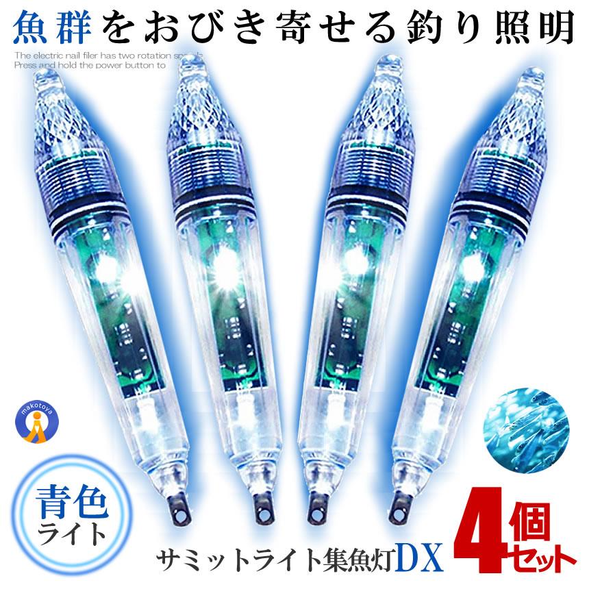 水中ライト　セット e01-31ax2_1.jpg