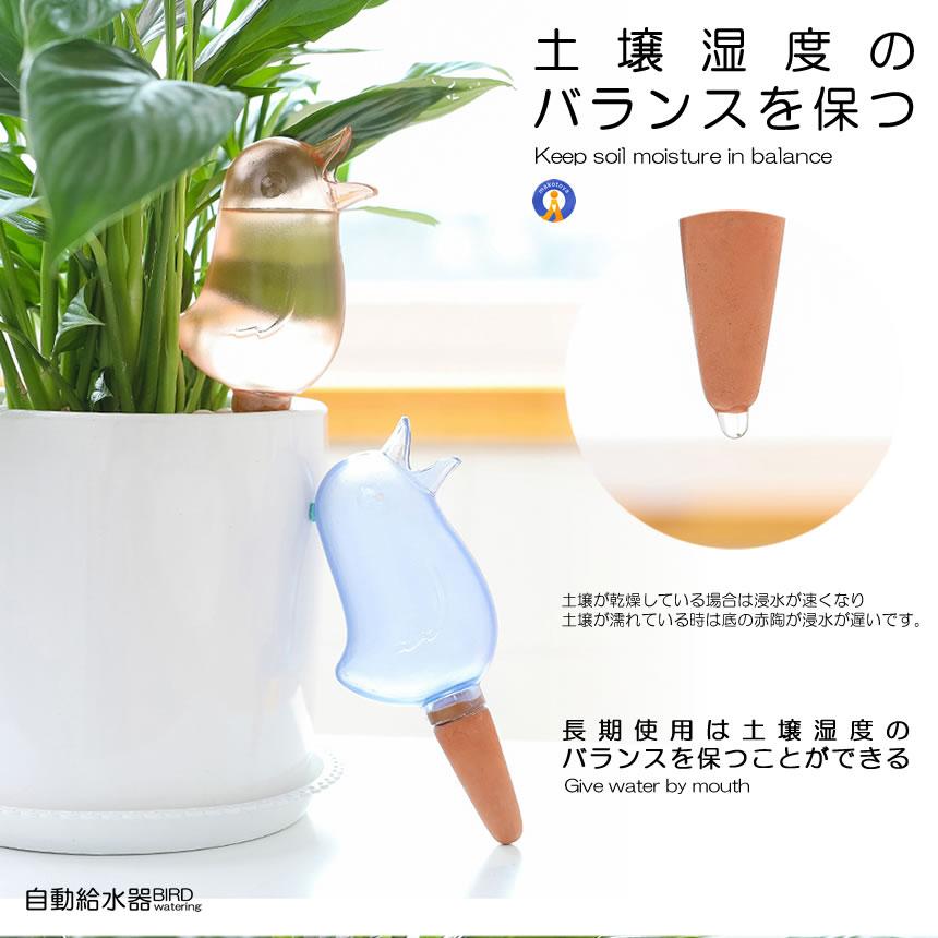 自動給水器 2色セット 鳥型 自動 水やり器 植物 給水やり当番 給水キャップ じょうろ 観葉植物 散水ツール ガーデニング 2-BIRDMIZU｜fcl｜04