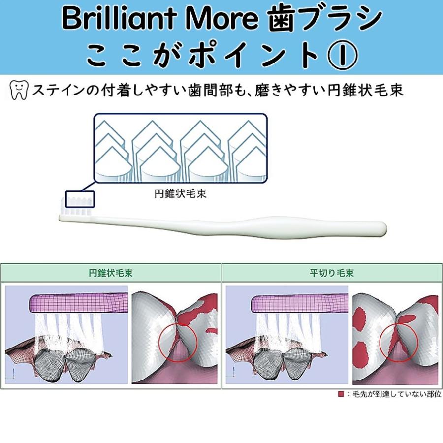 GC（ジーシー） トライアルセット 送料無料 LION DENT.EX Brilliant