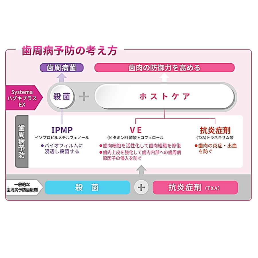 LION（ライオン） 【送料無料・箱なし・新品・未使用】ライオン デント