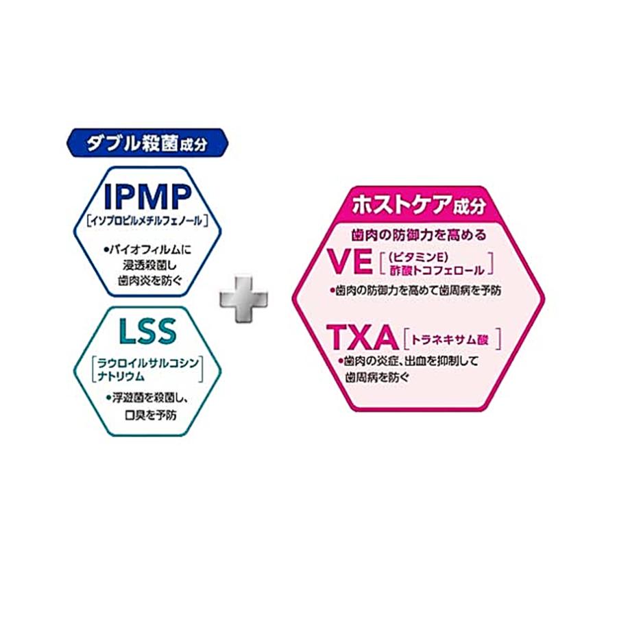 LION（ライオン） 【送料無料・箱なし・新品・未使用】ライオン デント