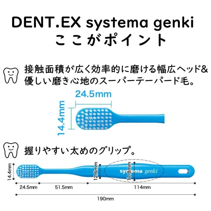 LION（ライオン） 送料無料 DENT.EX systema genki 12本 デント イー