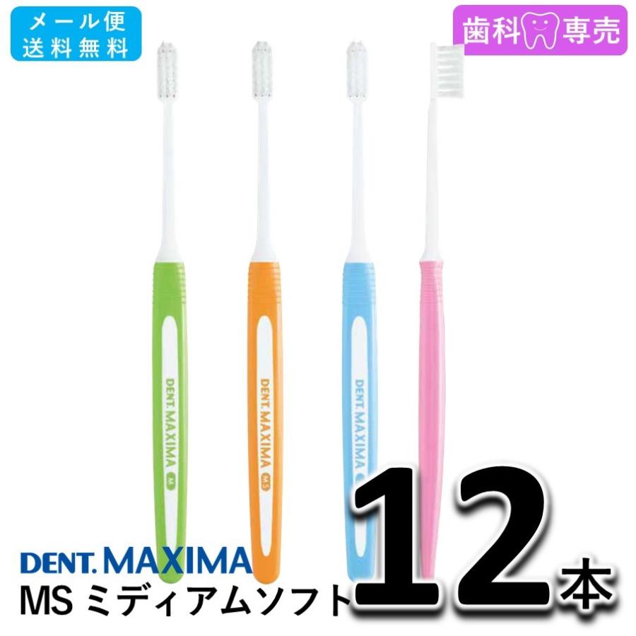 送料無料 DENT. MAXIMA デント マキシマ MS ミディアムソフト 12本 ライオン LION 歯科専売 歯ブラシ メール便送料無料｜fdcglobal