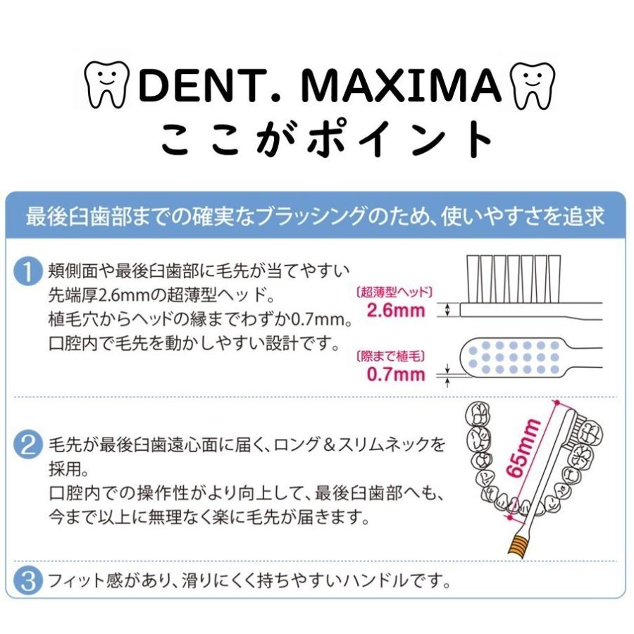 送料無料 DENT. MAXIMA デント マキシマ MS ミディアムソフト 12本 ライオン LION 歯科専売 歯ブラシ メール便送料無料｜fdcglobal｜02