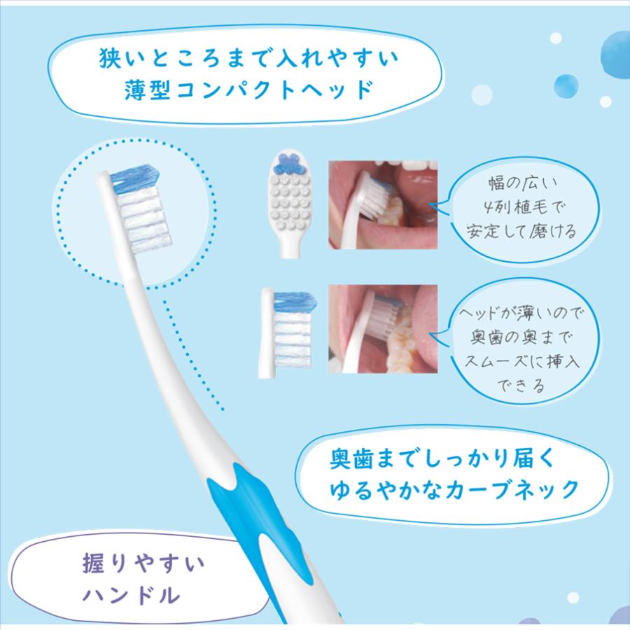 ピセラ NEW 送料無料 GC ジーシー ルシェロ P-21M ふつう 10本セット