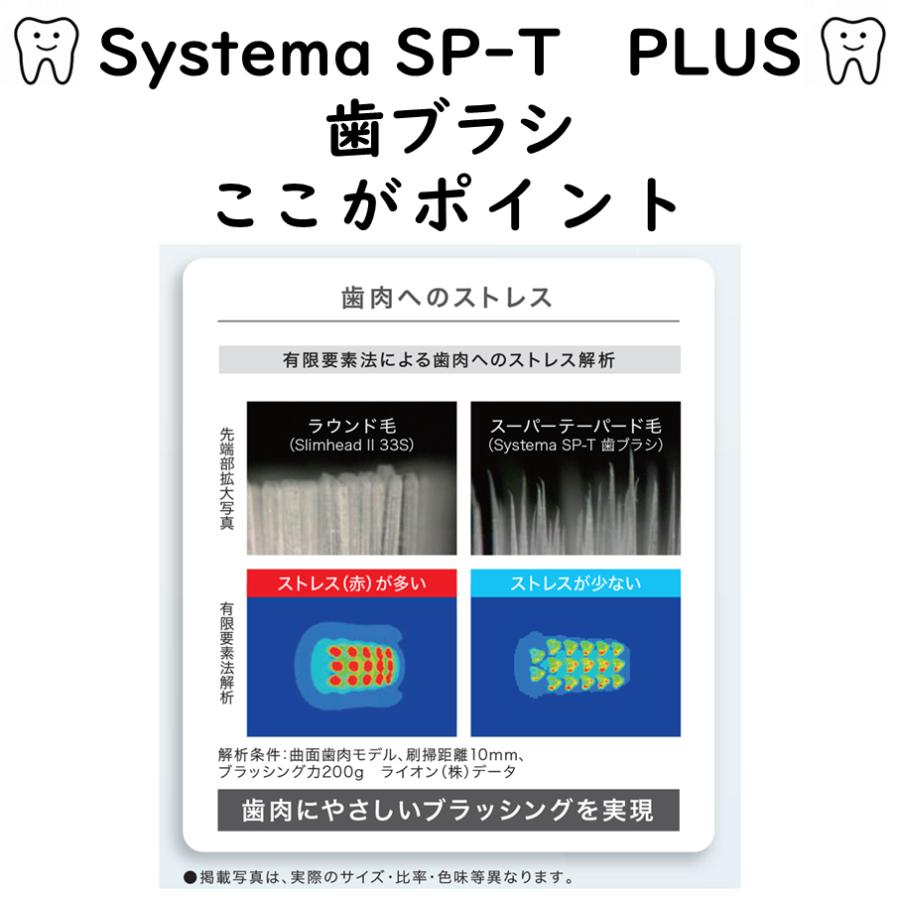 LION（ライオン） 送料無料 LION DENT. systema SP-T 歯ブラシ 6本