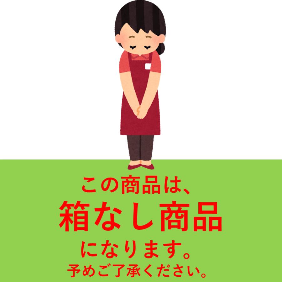 ミニサイズ2本付・送料無料・箱なし・新品・未使用】ライオン