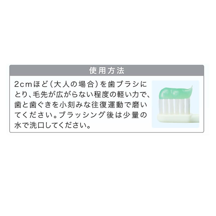システマ 【ミニサイズ付・箱なし・新品・未使用】ライオン DENT. SP-T