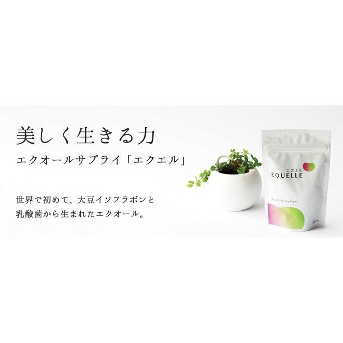 大塚製薬 エクエル パウチ 120粒入り 約30日分 1袋 2個購入で送料無料 5550 Daigo 通販 Yahoo ショッピング