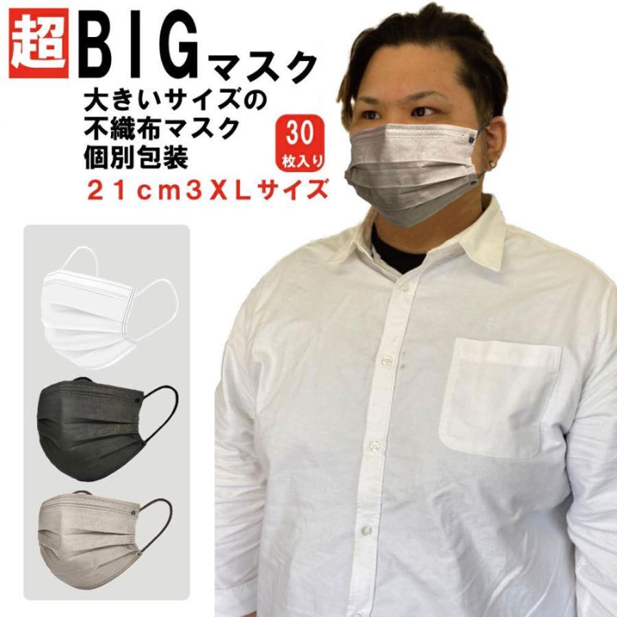 ■21着■1枚240円くらい！大きいサイズ4〜5Lまとめ売り 0000332642000.jpg