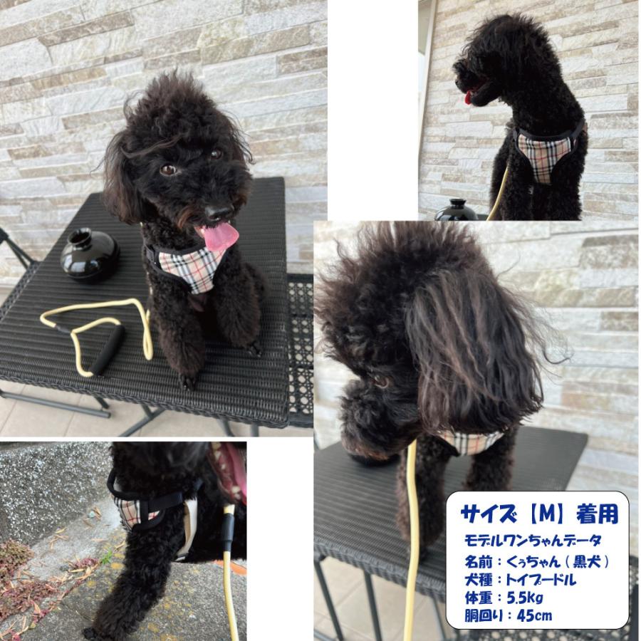 ハーネス リード 小型犬用 チェック柄 リードハーネス2点セット