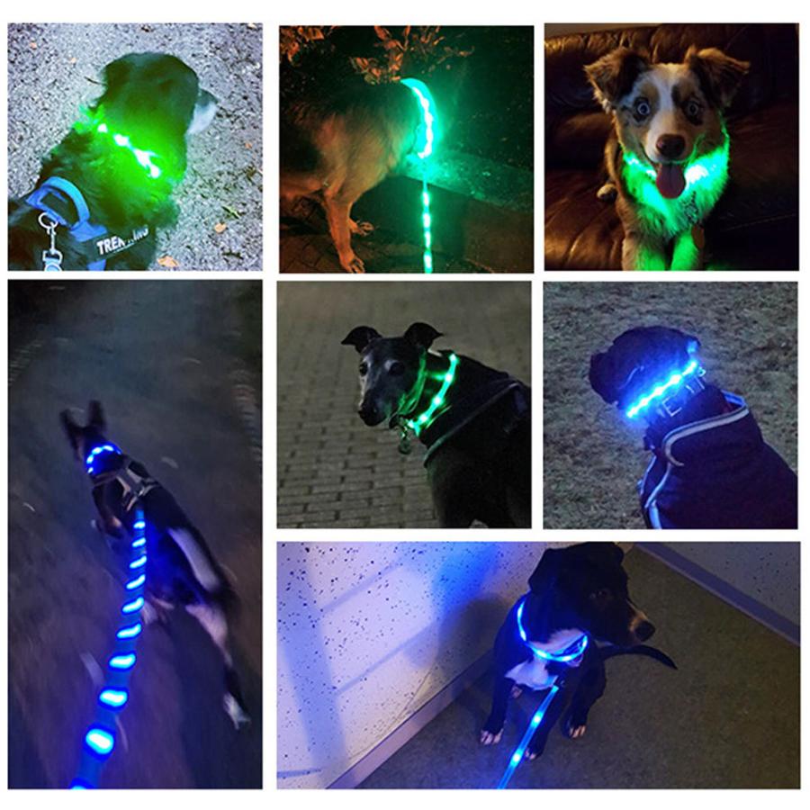 リード 首輪 LED ドッグリード 光るリード ペット用品 ペットグッズ 犬 犬用品 夜間 事故防止 安全 お散歩 小型犬 中型犬 USB充電 S M フェザーストア｜featherstoa｜03