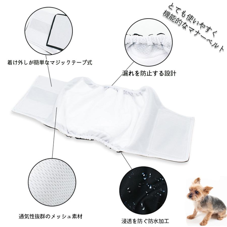 犬 マナーベルト 3点セット オス メッシュ裏地 吸収層付き 防水