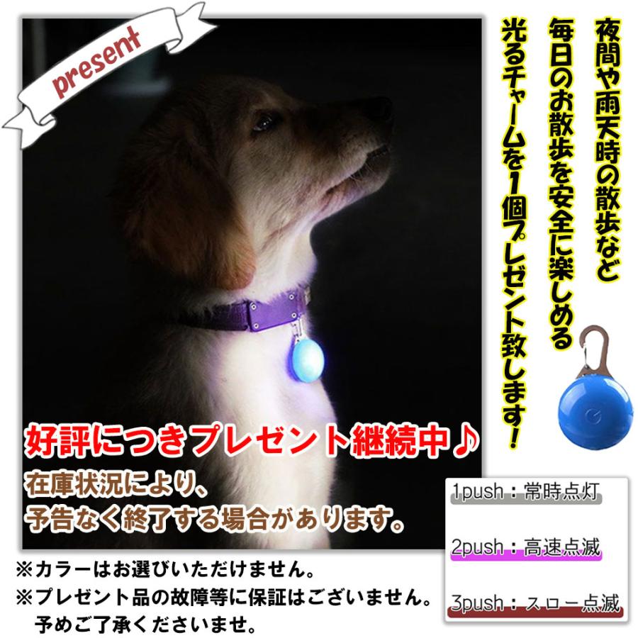 犬 肩掛け リード 光るチャームプレゼント ショルダーリード ハンズ
