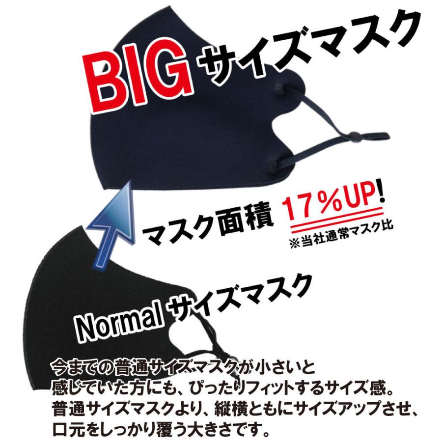 ハンドメイドインナーマスク大人用Lサイズ 2枚 マスク 大きいサイズ 大きいマスク 冷感 2Lサイズ 洗える 接触冷感