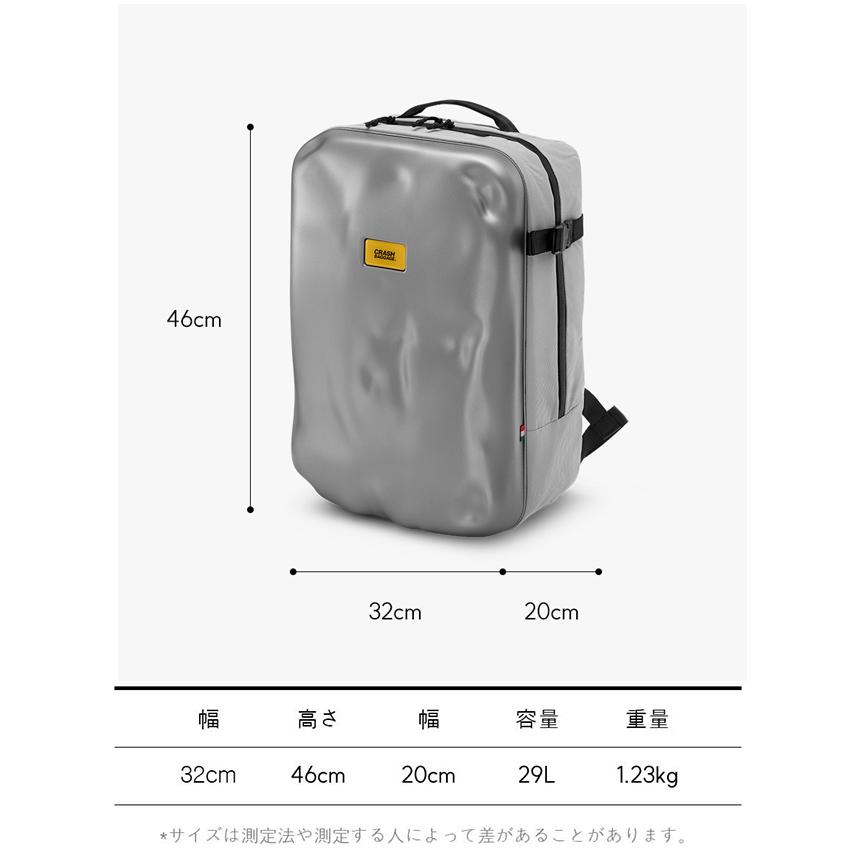 クラッシュバゲージ CRASH BAGGAGE ICONIC 2.0 BACKPACK アイコニック2.0 バックパック リュック 鞄 バック ユニセックス SILVER シルバー #CB311-21の画像