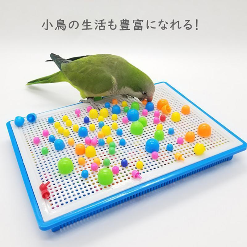 鳥のおもちゃ インコ おもちゃ バードトイ 鳥 小鳥 ストレス解消 鳥用
