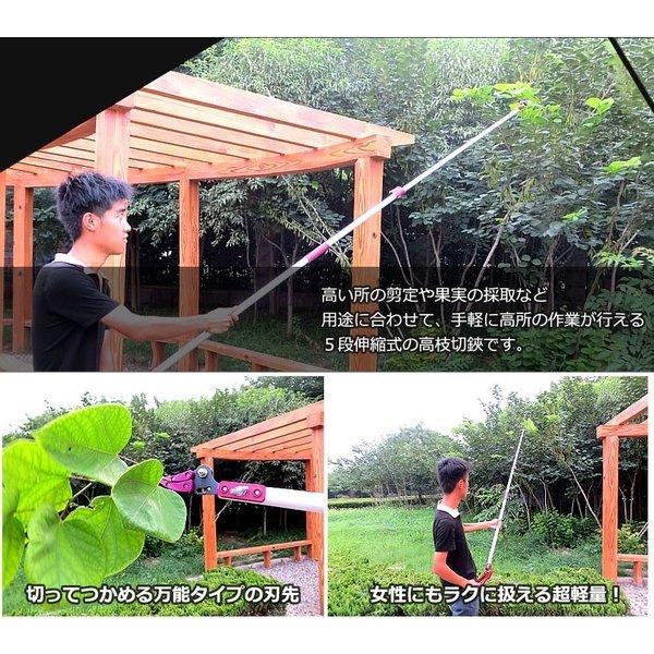 高枝切バサミ 5段階伸縮式 専用ノコギリ刃 超軽量 剪定 果実 採取 高枝切鋏 ガーデニング 庭 枝切り TAKAEDA :c0805-6a:フィールワン - 通販 - Yahoo!ショッピング 高枝切バサミ 5段階伸縮式 専用ノコギリ刃 超軽量 剪定 果実 採取 高枝切鋏 ガーデニング 庭 枝切り TAKAEDA :c0805-6a:フィールワン - 通販 - Yahoo!ショッピング