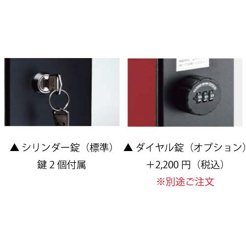 郵便ポスト・ノイエキューブ ラミナム（壁掛け仕様：ブルーノ）[P-759