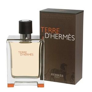 エルメス テールドエルメス EDT SP 500ml HERMES 香水 メンズ フレグランス :18379m:香水通販フィールfeel
