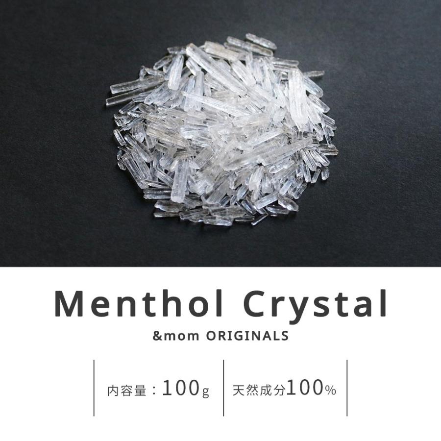 天然 ハッカ脳 100g メントールクリスタル 和ハッカ 結晶×10個セット 天然 ハッカ脳 100g メントールクリスタル メントフレッシュ