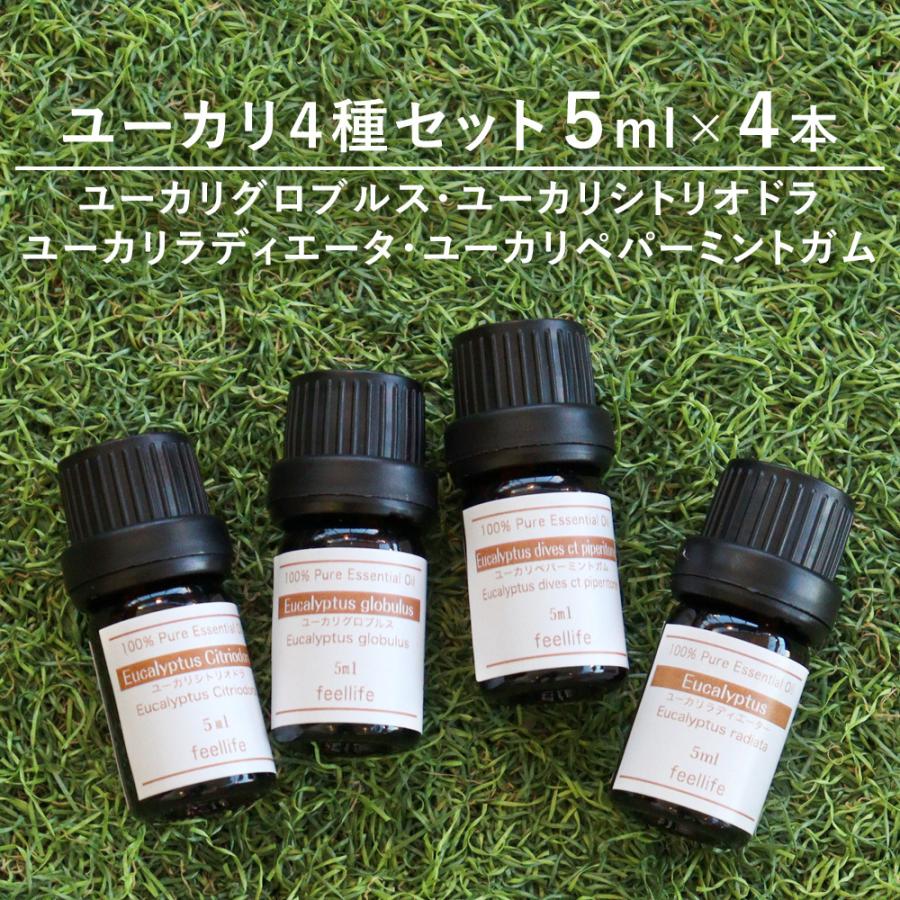 アロマオイル セット 4本 シトリオドラ ペパーミントガム ラディエータ エッセンシャルオイル 精油 5ml 送料無料 5mlset Yu4 香りで彩るくらしfeellifeyahoo 店 通販 Yahoo ショッピング