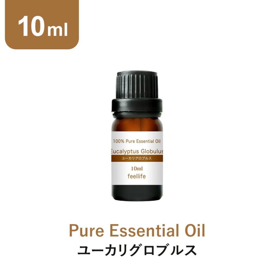 アロマオイル ユーカリグロブルス 10ml ユーカリ グロブルス アロマ エッセンシャルオイル Feellife おしゃれ 100 天然 ピュア 精油 ウッド系 H 香りで彩るくらしfeellifeyahoo 店 通販 Yahoo ショッピング