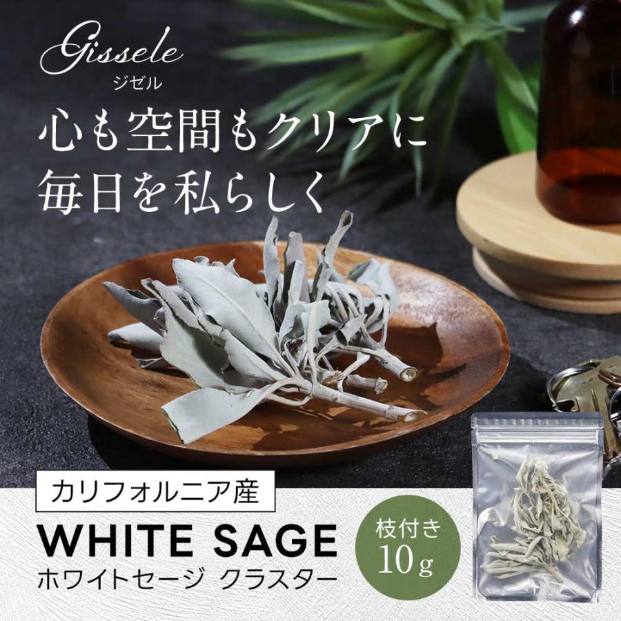 ホワイトセージ クラスター 10g お香 アロマ 浄化 葉 スティック 枝