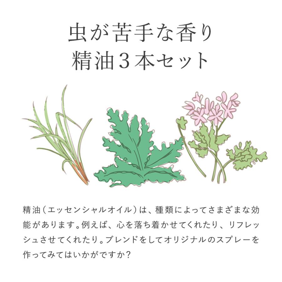 371円 セール商品 アロマオイル セット 3本 シトロネラ レモングラス ローズゼラニウム ゼラニウム エッセンシャルオイル 精油 5ml 送料無料