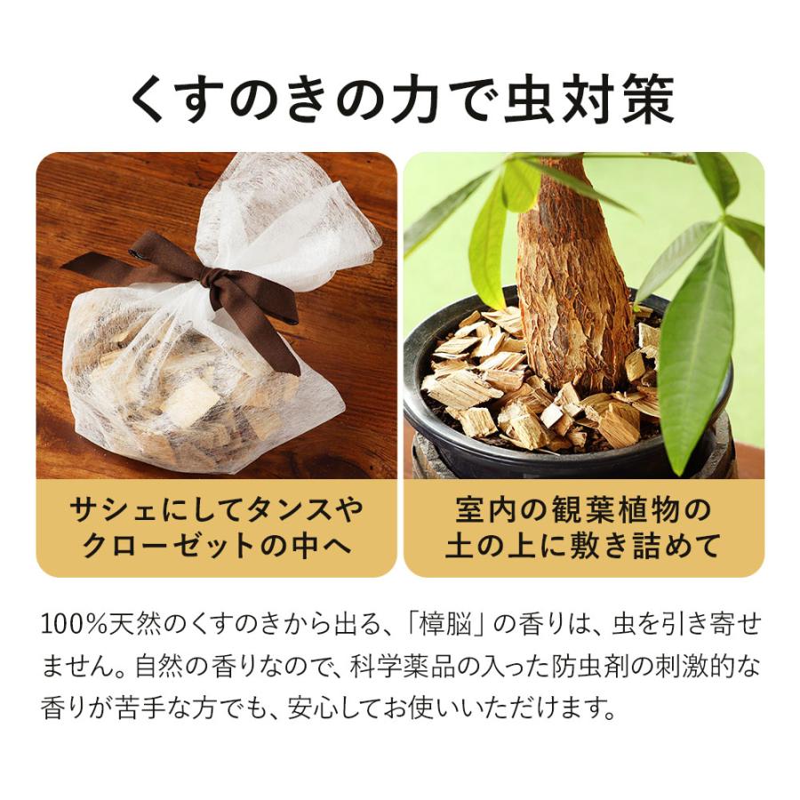 アロマウッド 20g 精油 セット 樟脳 クスノキ アロマチップ アロマ