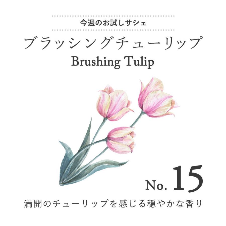サシェ 単品 お試し 100円 袋 ギフト 作り方 型 アロマグッズ 匂い袋 中身 芳香剤 玄関 車 Trialsachet 100yen 香りで彩るくらしfeellifeyahoo 店 通販 Yahoo ショッピング