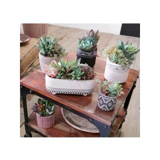植木鉢 おしゃれ 室内 テラコッタ エスニックニュアンスワイドA