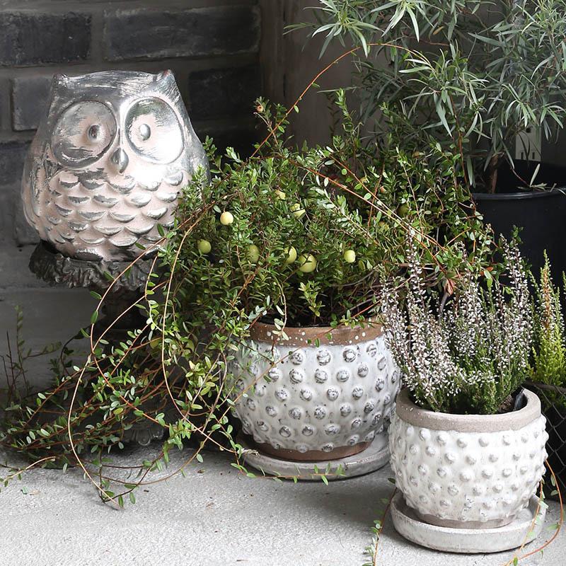 DULTON（ダルトン） 植木鉢 おしゃれ TERRACOTTA BUBBLE POT M