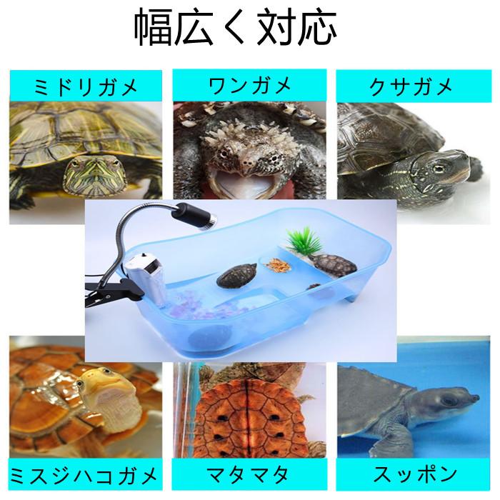 亀の水槽 カメ 水槽 飼育ケース 大きい ボックス タートルタンク