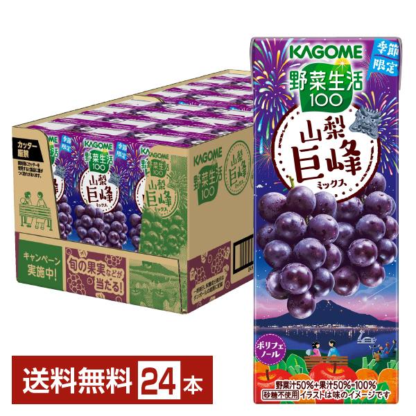 野菜生活100 数量限定 山梨巨峰ミックス カゴメ 195ml 紙パック 24本 1