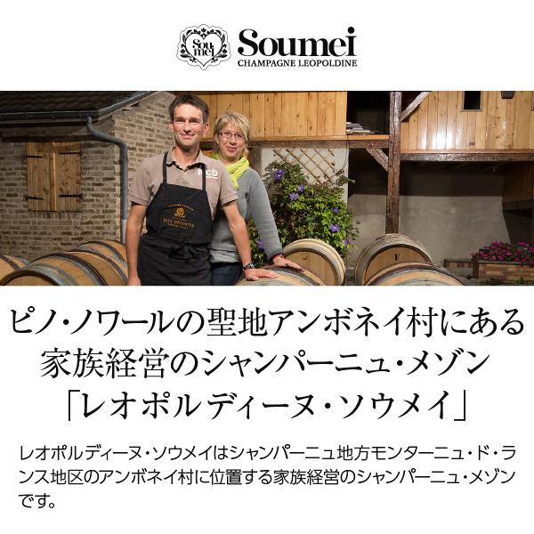シャンパン フランス シャンパーニュ レオポルディーヌ ソウメイ シャンパーニュ ブラン ド ノワール 正規 箱なし 750ml_1