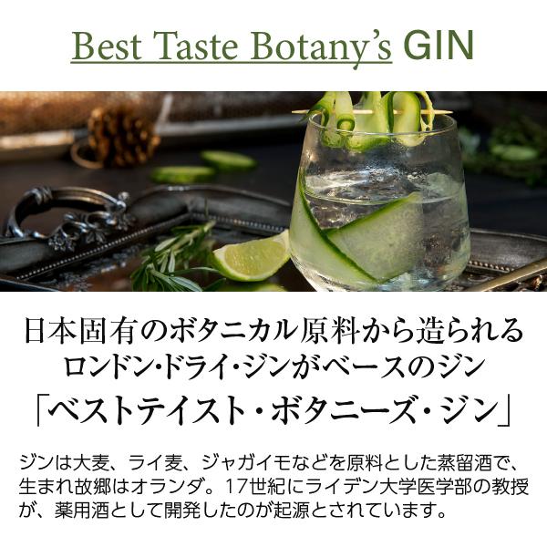 南アルプスワインアンドビバレッジ ベストテイスト ボタニーズ ジン 37度 2.7L 2700ml スピリッツ 包装不可 1梱包6本まで | 南アルプスワインアンドビバレッジ | 01