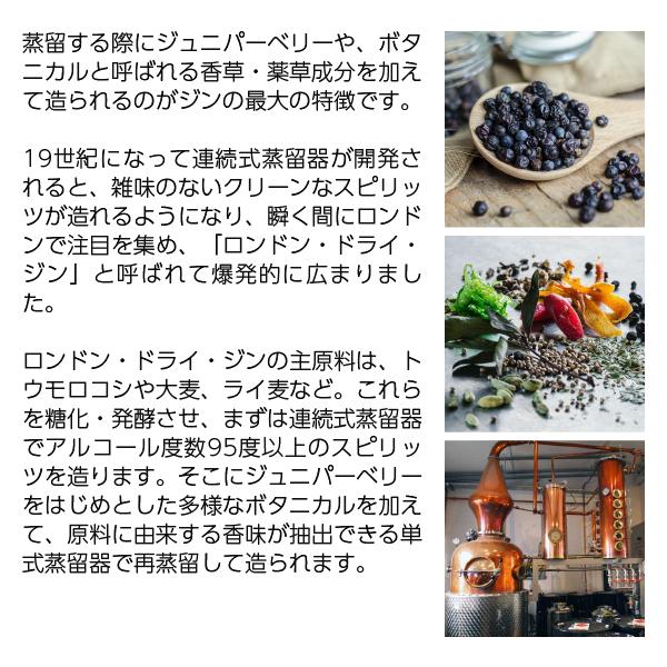 南アルプスワインアンドビバレッジ ベストテイスト ボタニーズ ジン 37度 2.7L 2700ml スピリッツ 包装不可 1梱包6本まで | 南アルプスワインアンドビバレッジ | 02