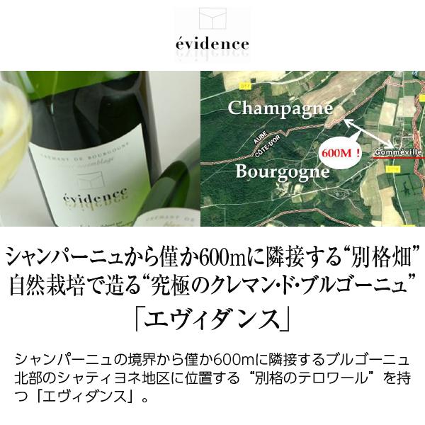 エヴィダンス by LVHB（レ ヴィニュロン ド オート ブルゴーニュ） クレマン ド ブルゴーニュ ブラン ド ブラン NV 750ml |  | 01