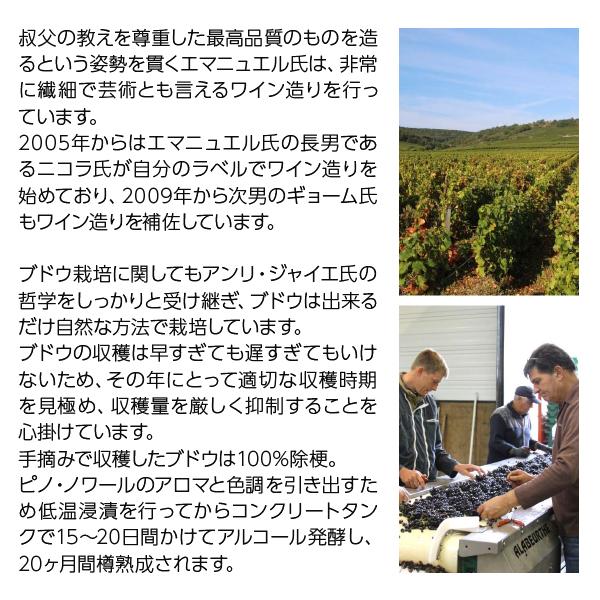 白ワイン フランス エマニュエル ルジェ ブルゴーニュ オート コート ド ボーヌ ブラン 2020 750ml_2