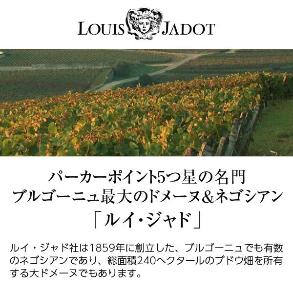 赤ワイン フランス ブルゴーニュ ルイ ジャド ブルゴーニュ ピノ ノワール 2022 750ml |  | 01