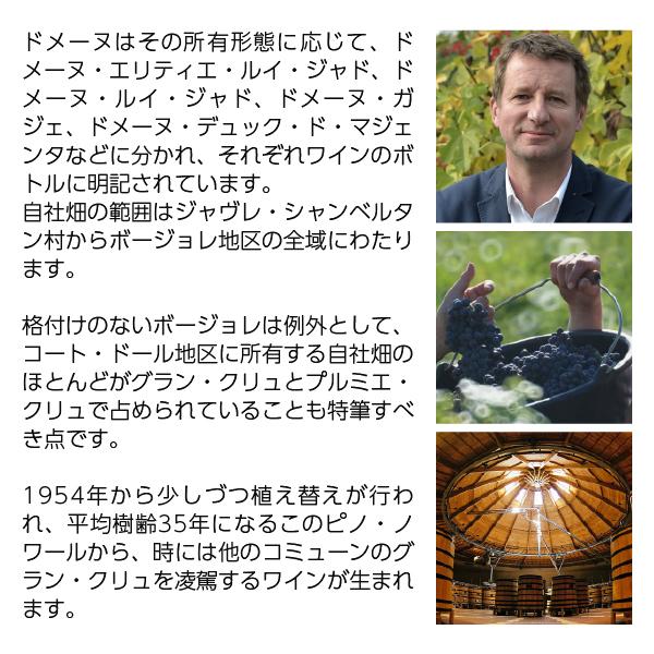 赤ワイン フランス ブルゴーニュ ルイ ジャド ブルゴーニュ ピノ ノワール 2022 750ml |  | 02